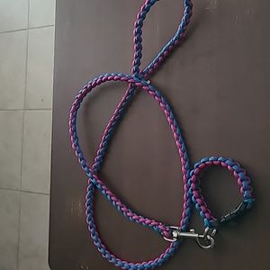 5 foot dog leash, blue and pink, 7.5 inch dog collar